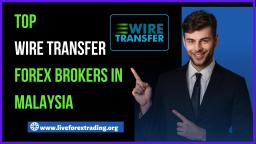 Top Wire Transfer Forex Brokers In Malaysia - Live Forex Trading💸