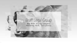 Personal Injury Lawyer Monterey Park - Braff Legal Group (626) 559-0063