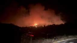 Forest fires have engulfed three provinces of Turkey - Antalya, Manisa and Kahramanmarash. On the vi