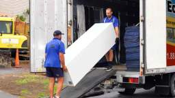 Ecoway Movers : Moving Company in Toronto, ON