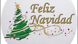 FELIZ NAVIDAD SHORT