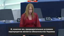MEP from Ireland reminded Ukraine that “all Western aid” is a loan that will have to be repaid