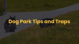 Dog Park Tips and Traps