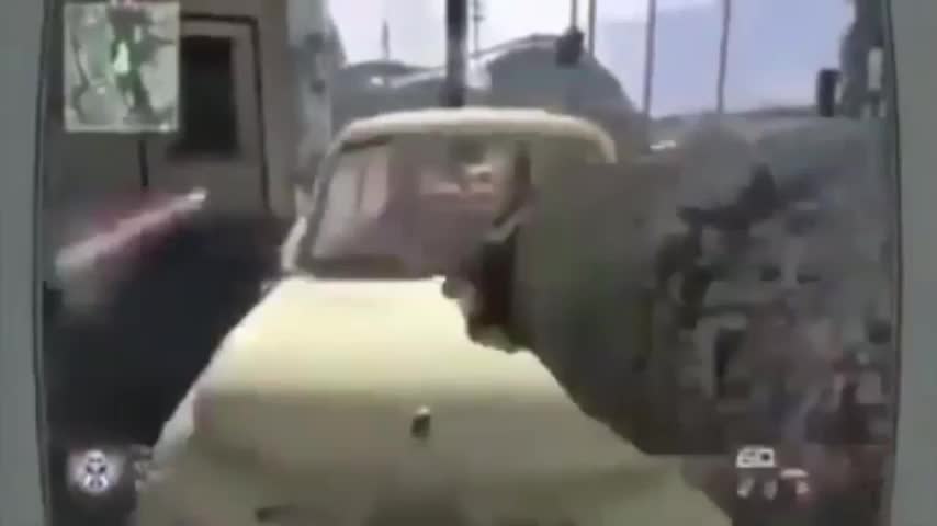You stupid nigga