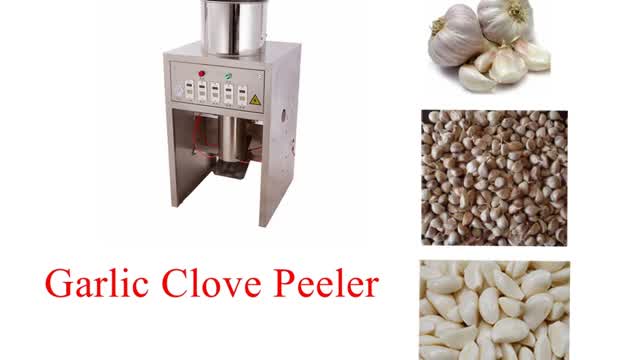 China Automatical Garlic Peeling Machine manufacturers - Twesix