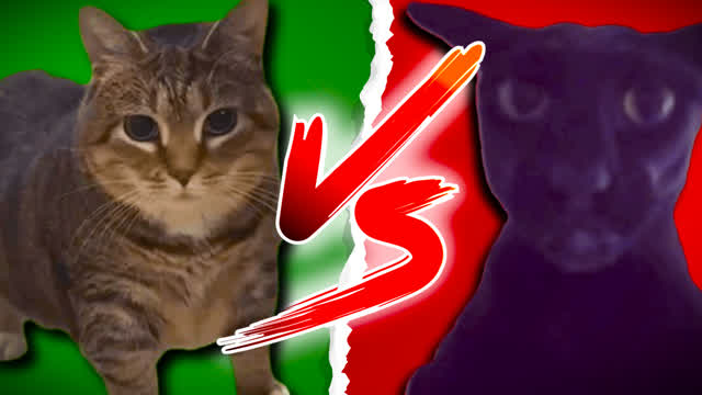 Uiia Vs Larry Freaky Face-Off Final3 Final