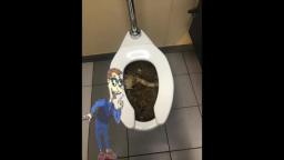 Drew Pickles goes to a Clogged Toilet