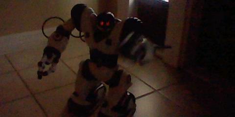 My Robosapien