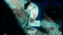bbc2 copper cut-out ident