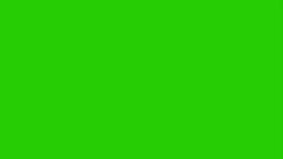 Tree green screen for episode 2