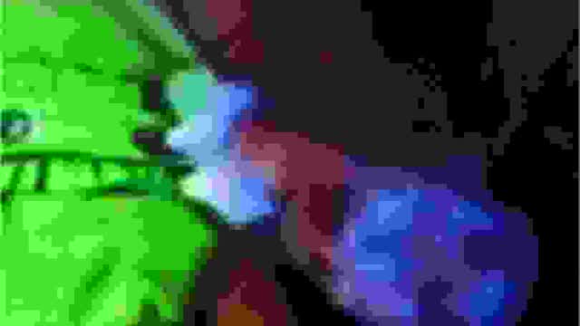 20241129_055833