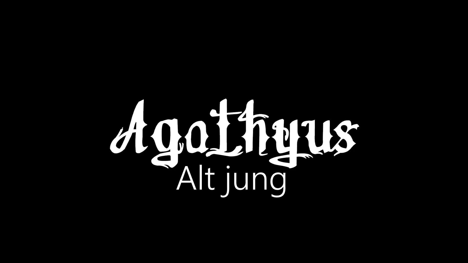 Agathyus ¦ Alt jung (offizielles audio)