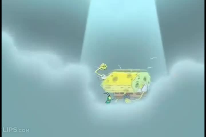 spongebob no