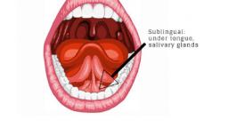 How to Apply Sublingual Administration