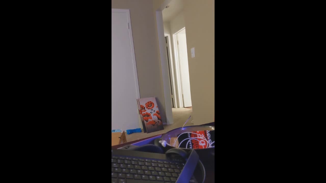 AdeZero Chimpout 1 + 2