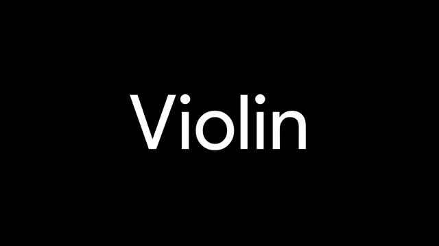 violin.