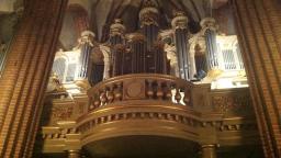 Organista Novi Ligure