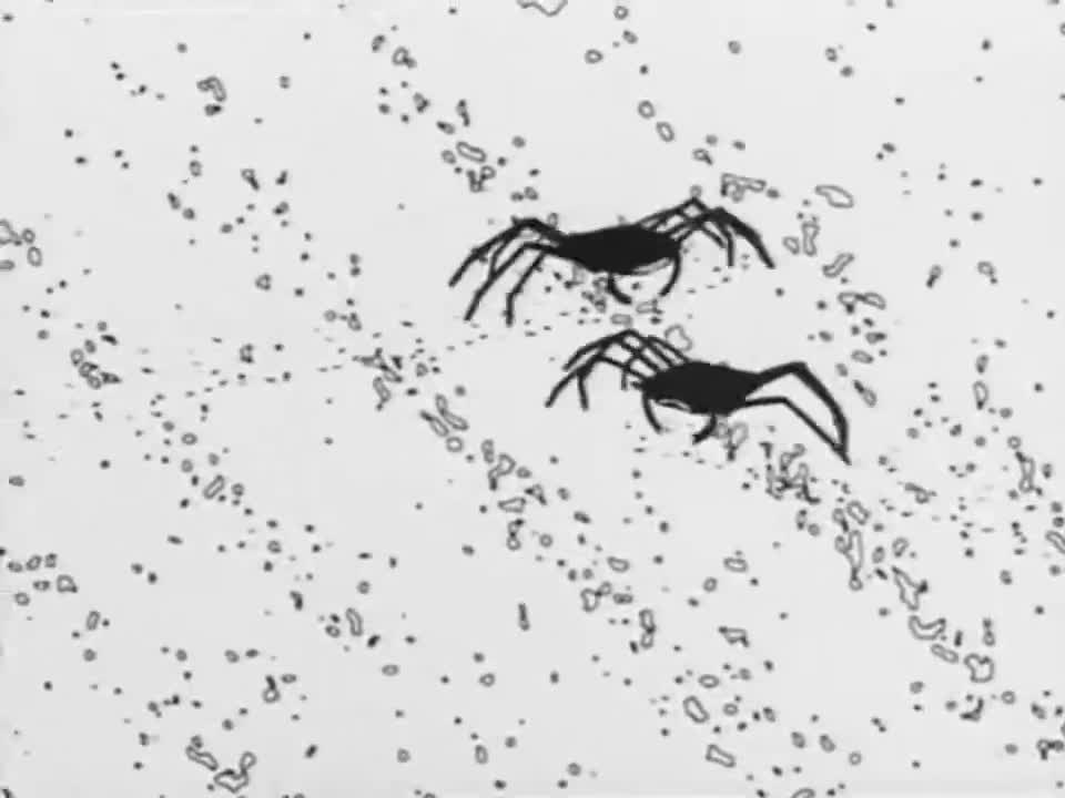 La Révolution des Crabes La Révolution des Crabes