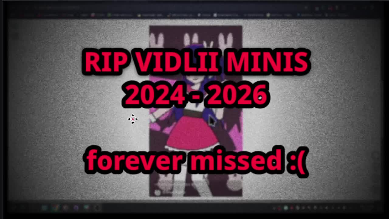 RIP VIDLII MINIS!