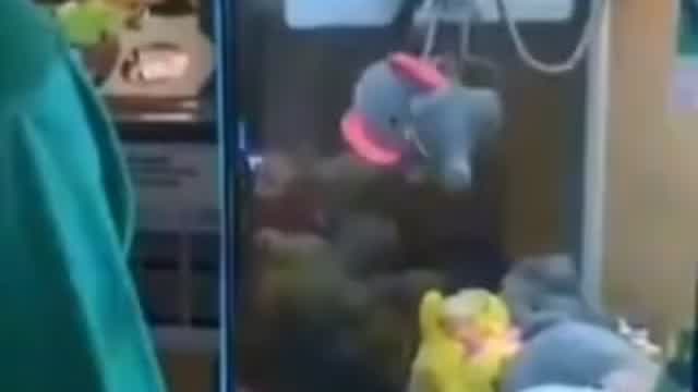 Bailando Paradisio gato Bailando Paradisio gato