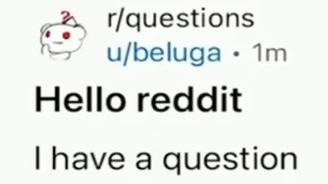 Hello Reddit, I have a question...