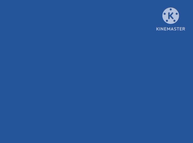 Mario and Luigi Cats lol