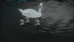 BBC TWO - 50 Years Swan Symbol - No logo