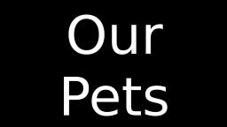 Our Pets