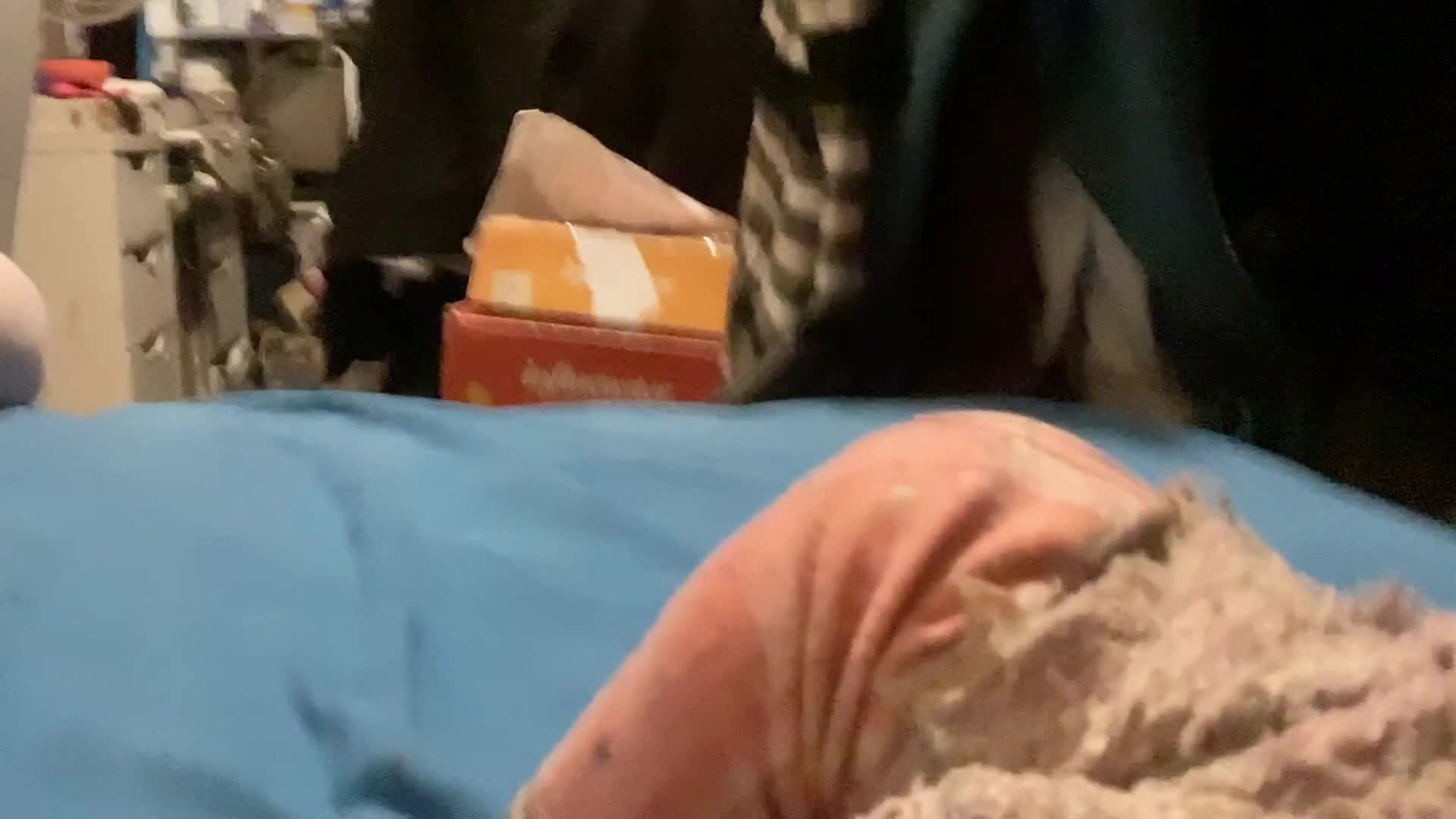 kadence goes on and date kadence goes on and date