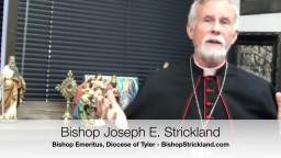 Joy to the World. A Christmas Message from Bishop Strickland. (1080p_30fps_H264-128kbit_AAC)