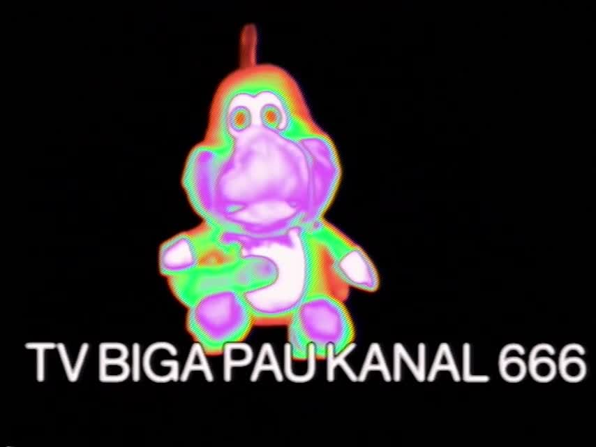 tv biga pau kanal 666 (1975)