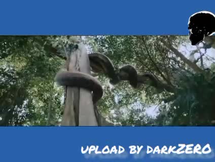 ANACONDA 2024