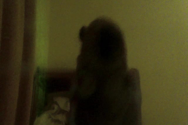 capybara warptest vidlii excuse to fart chocolate poopsie [READ DESC]