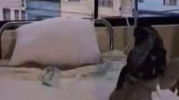 Mamut Chiquitito (version peluches)