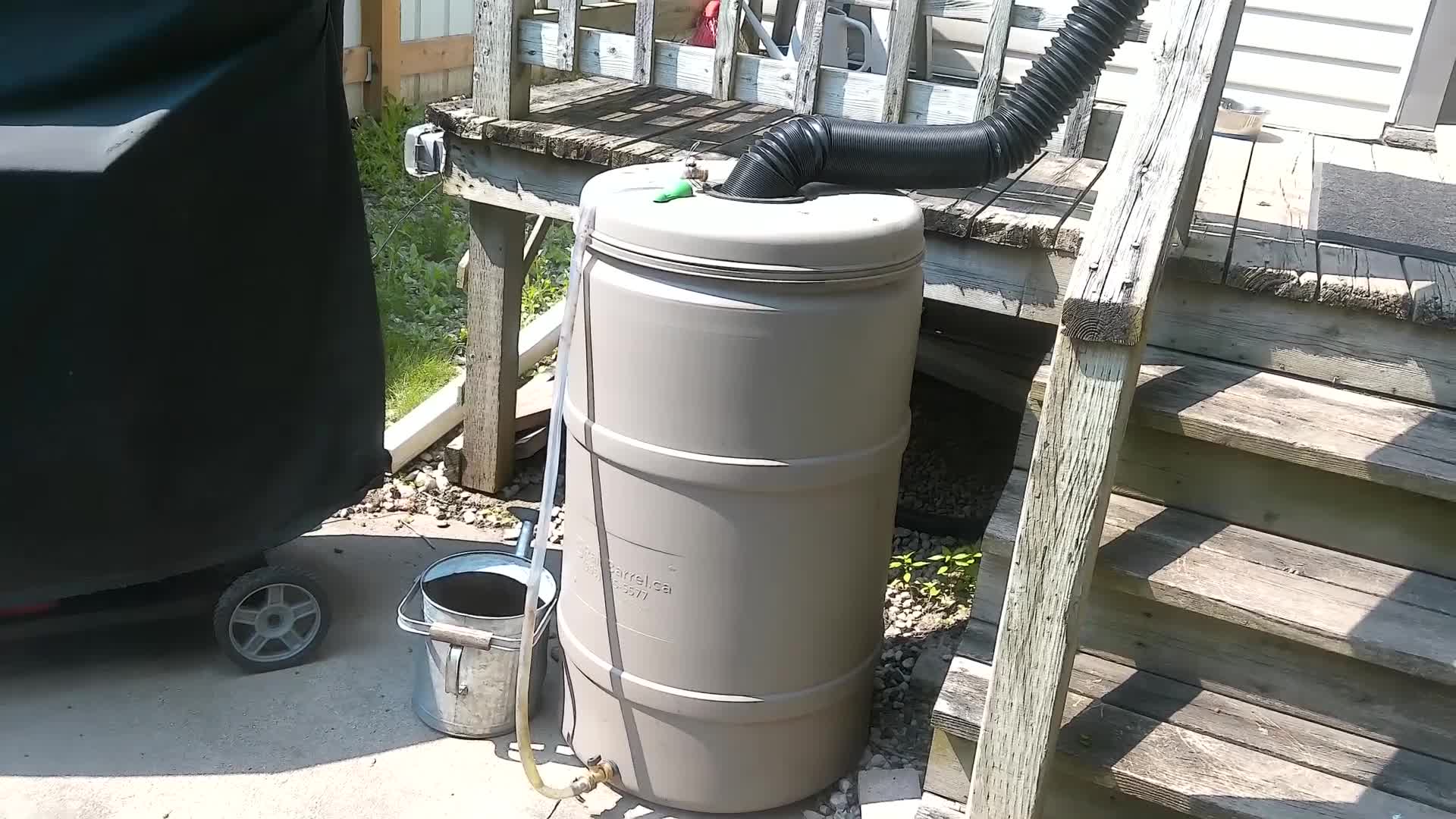 Garden Update June 8th, 2025