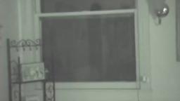 Alien In The Window