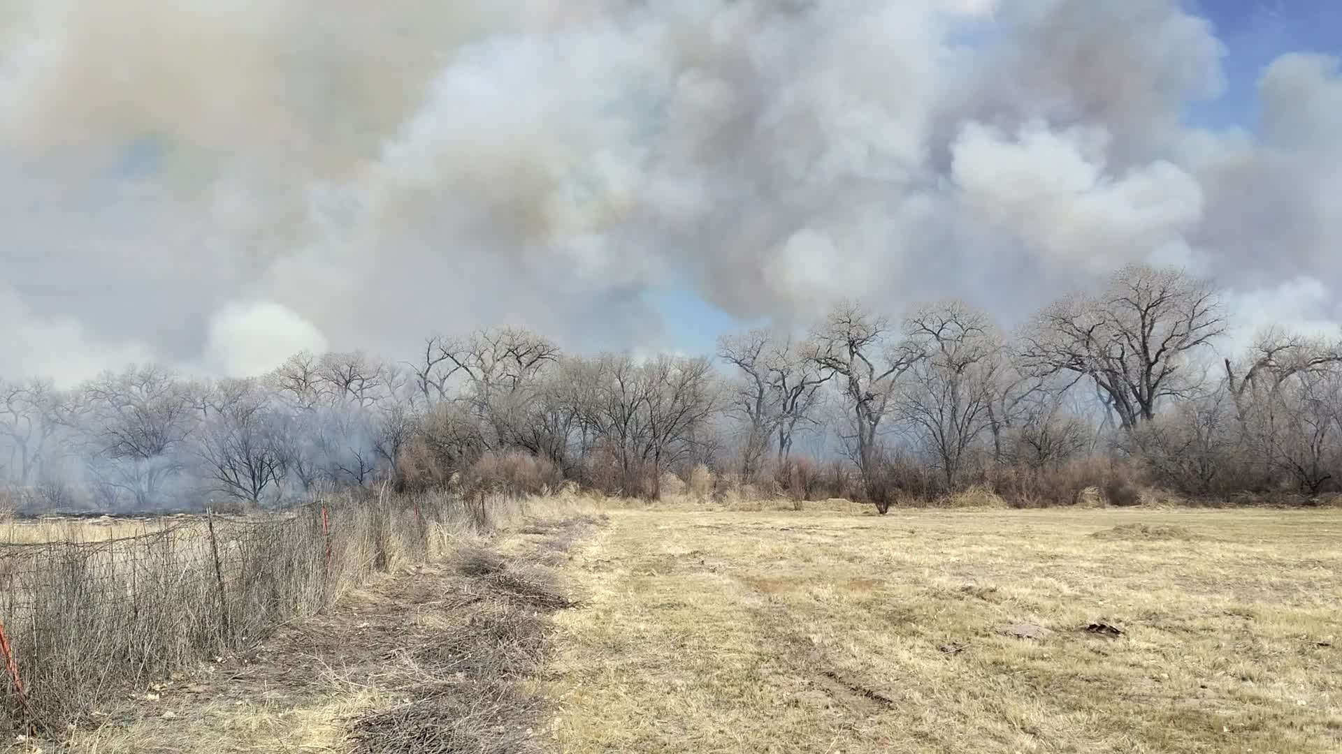 Big Hole Fire - Belen, NM; Brush 133