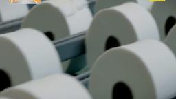 Fabryka papieru toaletowego