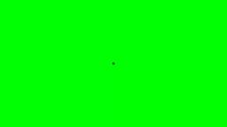 My Intro My Intro