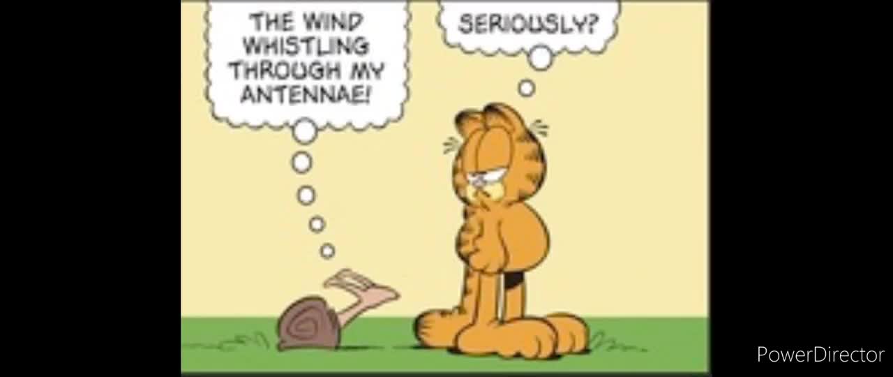 Garfield Comic Dub for March 17th, 2024