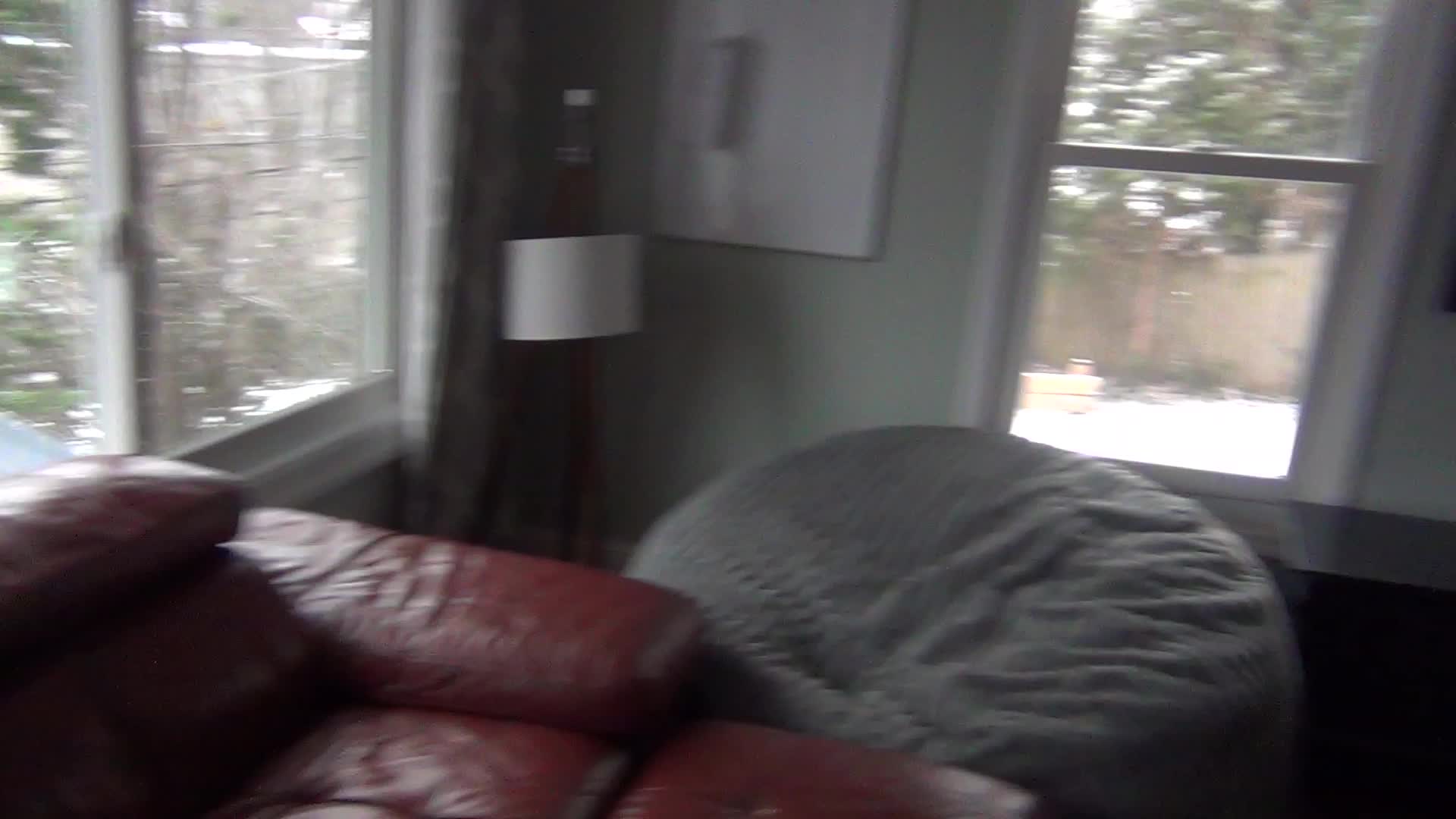 Just Some Random Snow Flurries