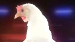 Funny Chicken Song