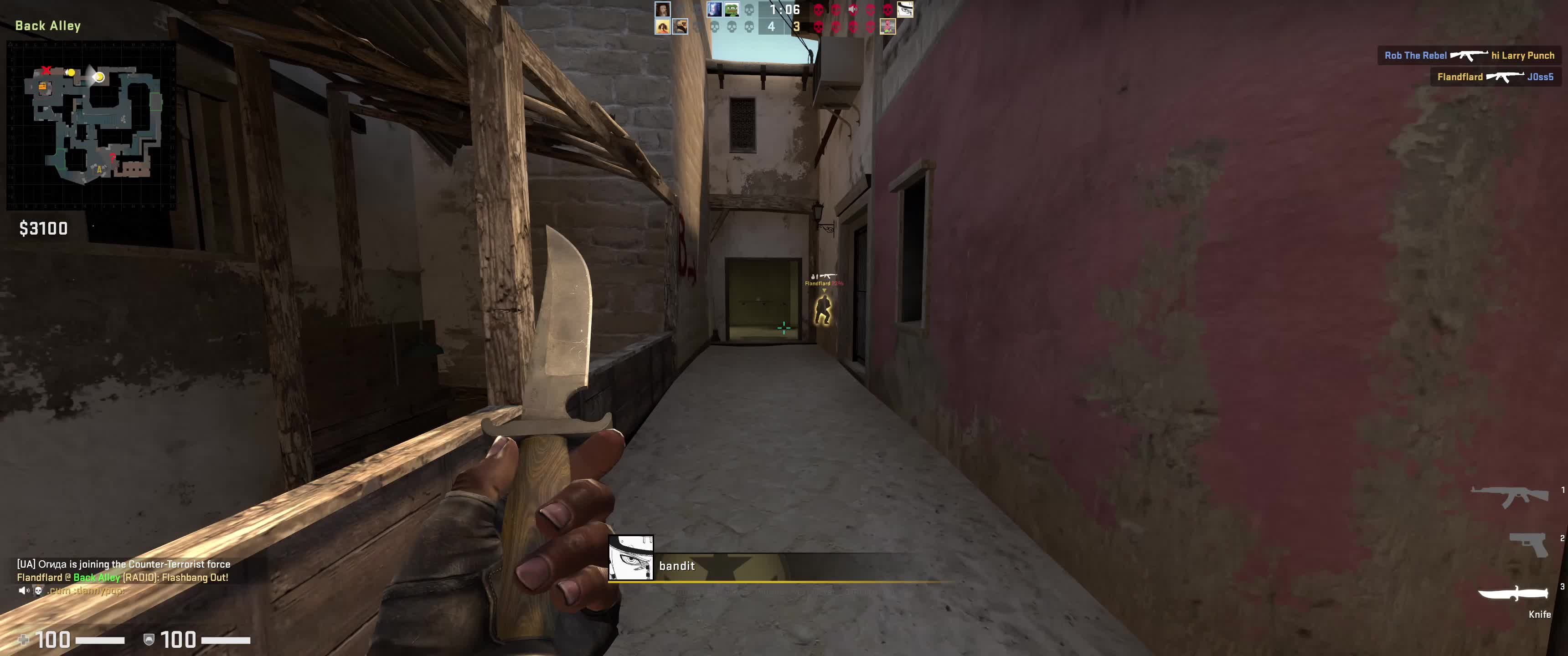 HEY MOM YOU'RE A FAGGOT - CSGO clip