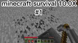 Minecraft Survival speed 10.0 X