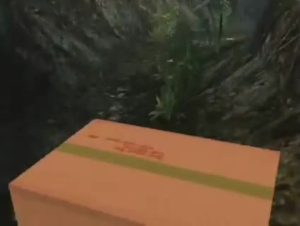 Una puta caja en medio de la puta jungla