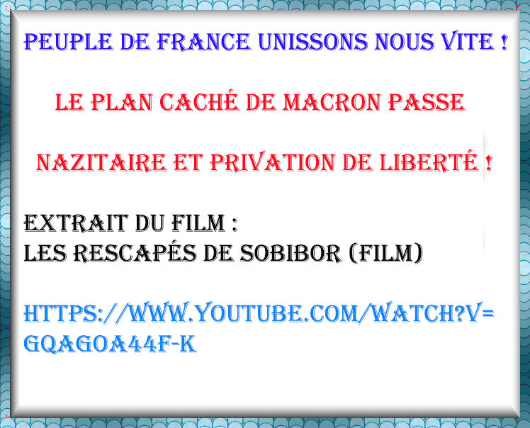 Le plan caché de Macron Ausweis privation de liberté vaccination génocide !