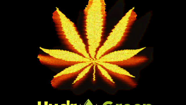 Evolution of Cannabis Legalization