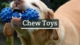 Chew Toys