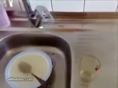 Loquendo-caidas golpes y fails