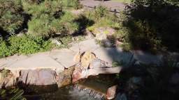 COOL KOI POND in the Front Yard with  Greg Wittstock, The Pond Guy feat. BR&D Landscape